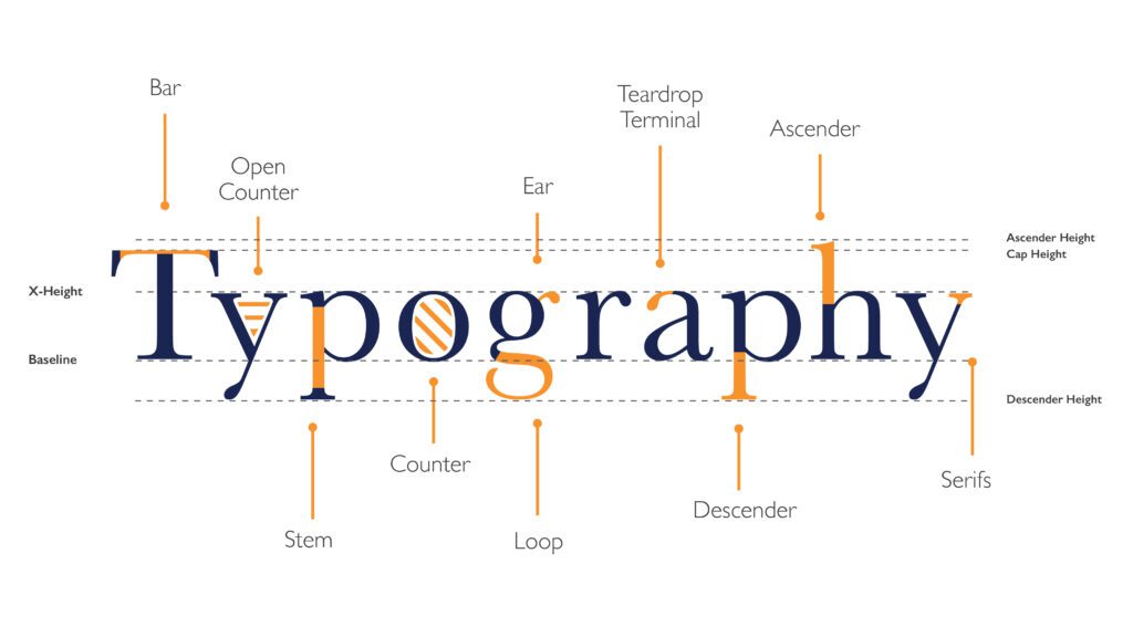 anatomy of typography - bar, open counter, ear, teardrop terminal, ascender, stem, counter, loop, descender, serifs, x-height, baseline, ascender height, cap height, descender height